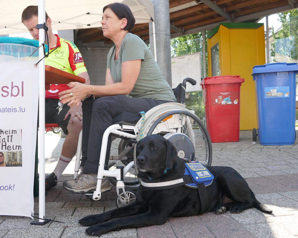 Tessy Wies mit Assistenzhund